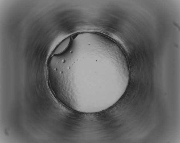 X0000091331472200708311427