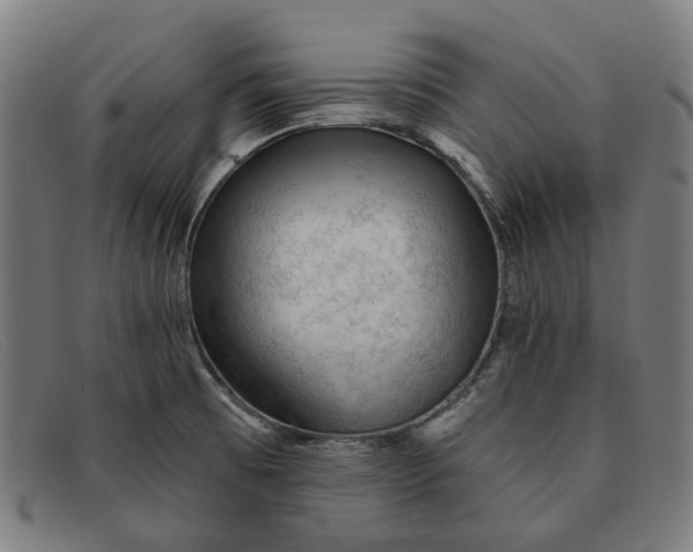 X0000091331473200708311427