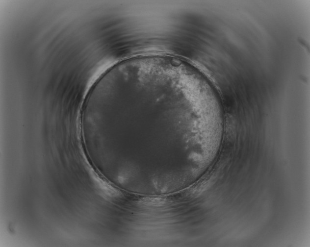 X0000091331474200708311427