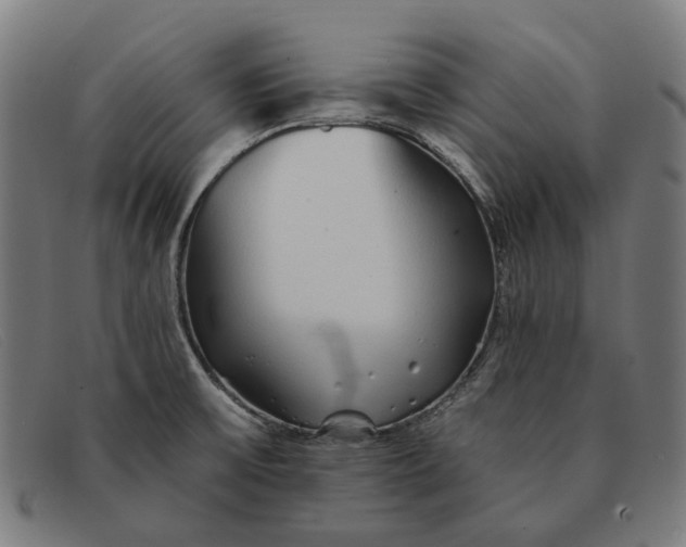 X0000091331475200708311427