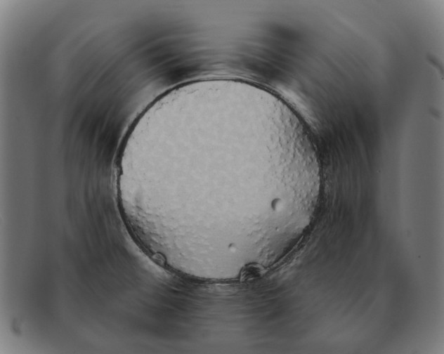 X0000091331476200708311427