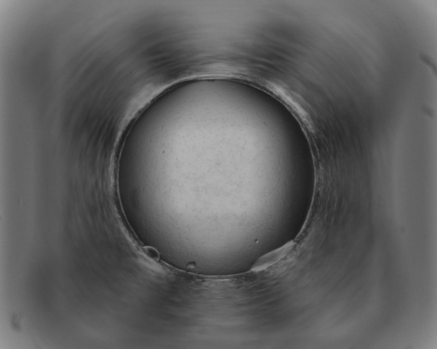 X0000091331477200708311427