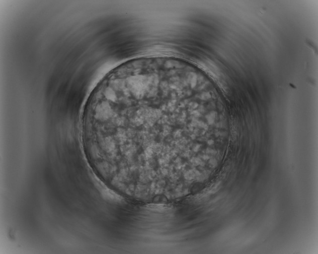 X0000091331478200708311427