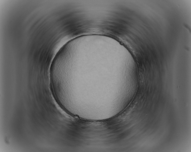 X0000091331479200708311427