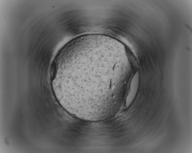 X0000091331480200708311427