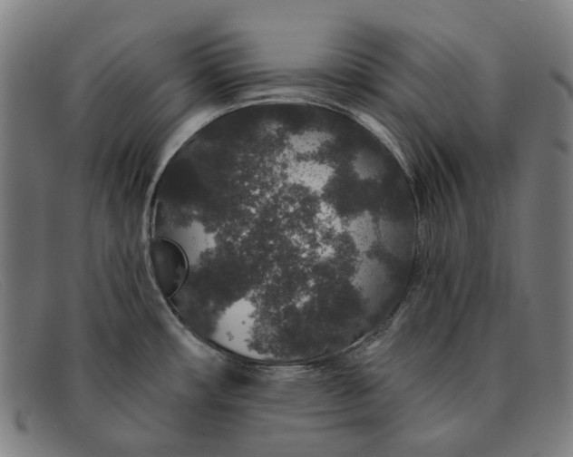 X0000091331482200708311427