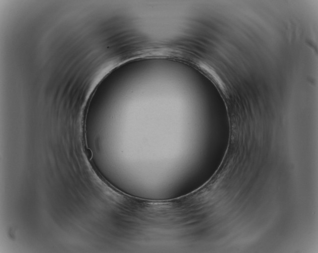 X0000091331483200708311427