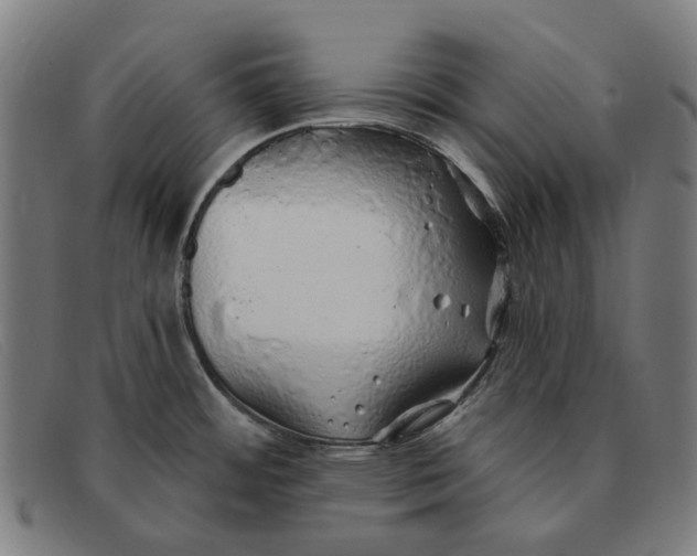 X0000091331484200708311427