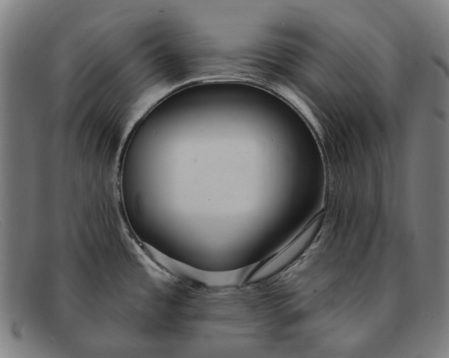 X0000091331485200708311427