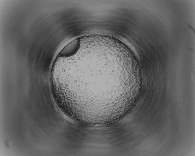 X0000091331486200708311427