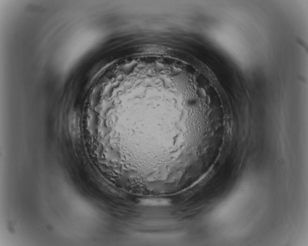 X0000091331487200708311427