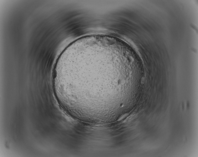 X0000091331488200708311427