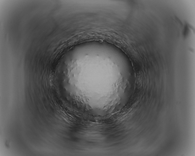 X0000091331490200708311426