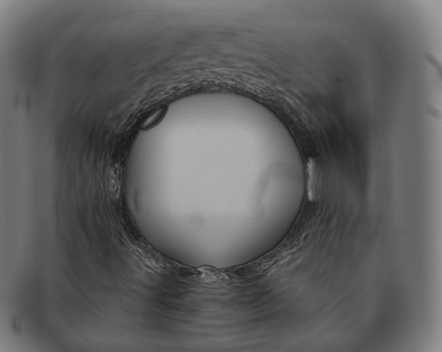 X0000091331491200708311426