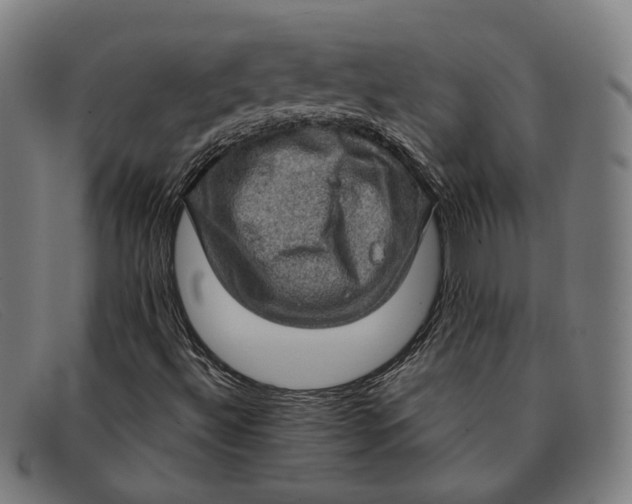 X0000091331492200708311426