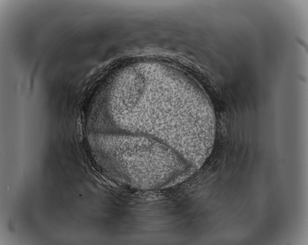 X0000091331493200708311426