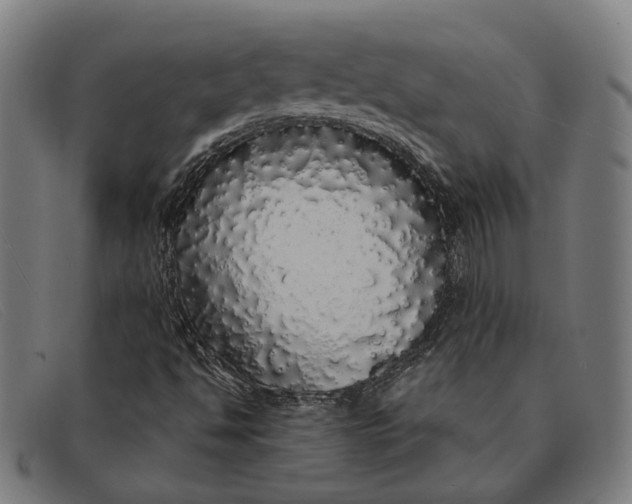 X0000091331494200708311426