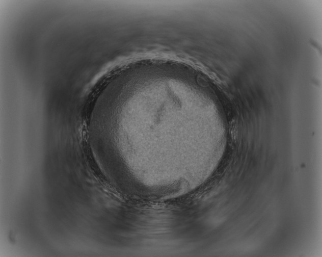 X0000091331495200708311426