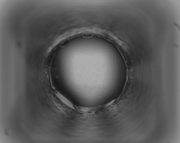 X0000091331496200708311426