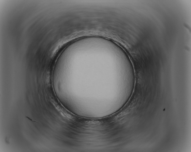 X0000091331499200708311426