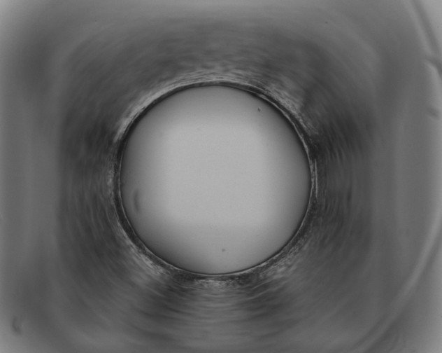 X0000091331500200708311426