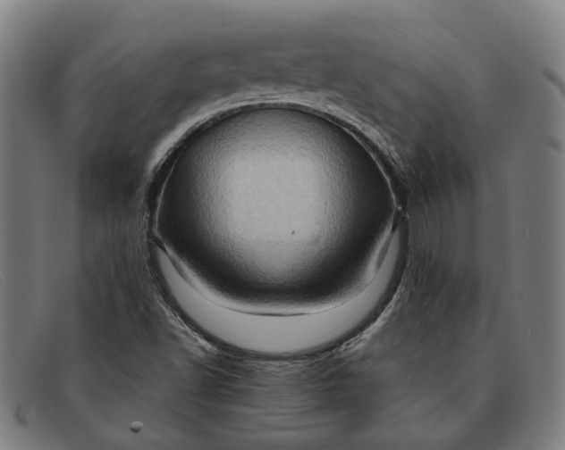 X0000091331502200708311426