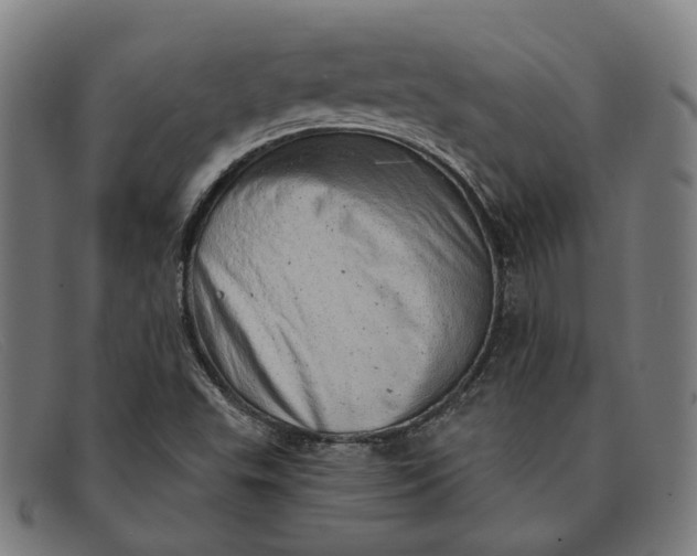 X0000091331503200708311426