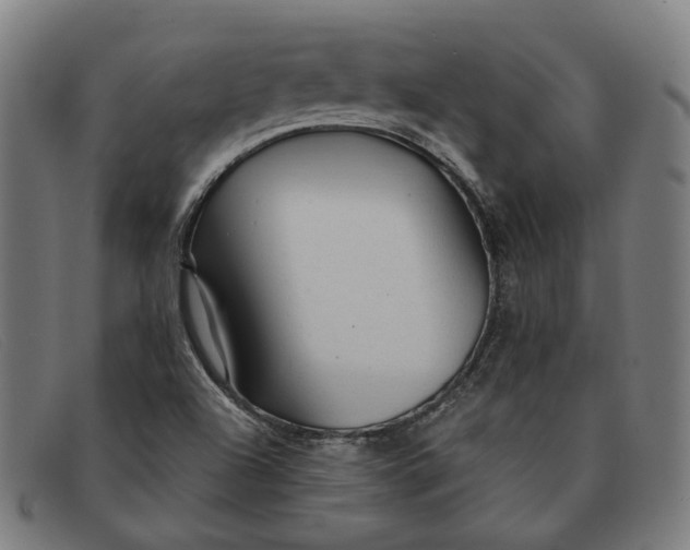 X0000091331504200708311426