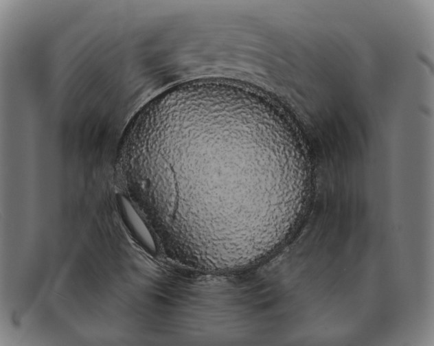 X0000091331505200708311426