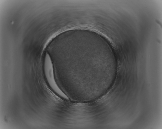 X0000091331506200708311426