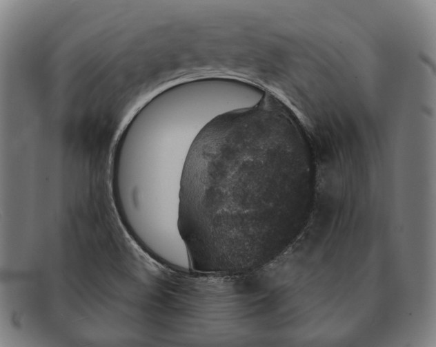 X0000091331508200708311426