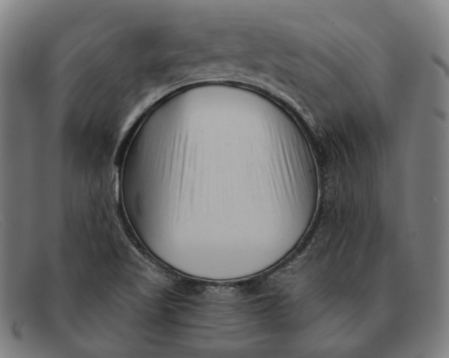 X0000091331509200708311426