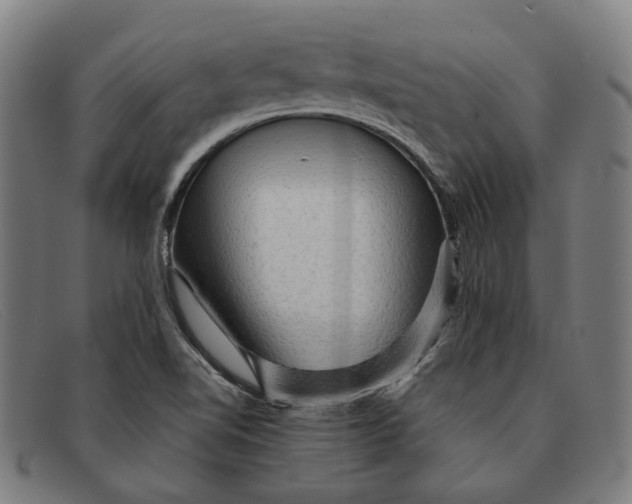 X0000091331510200708311426