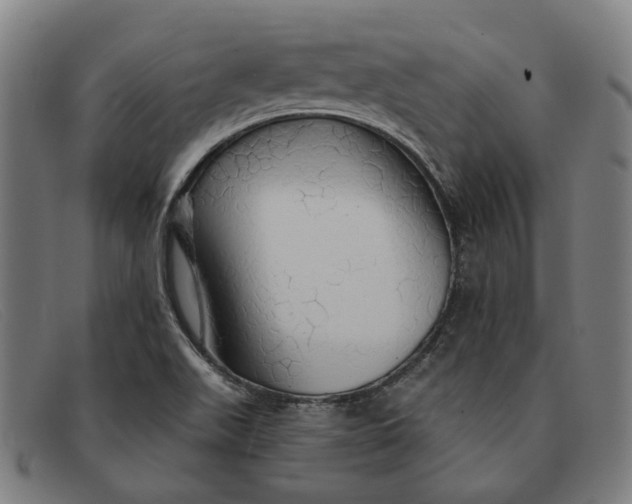 X0000091331511200708311427