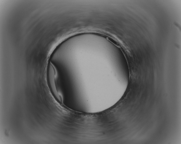 X0000091331512200708311427