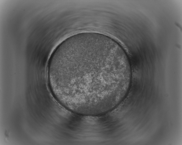 X0000091331514200708311427