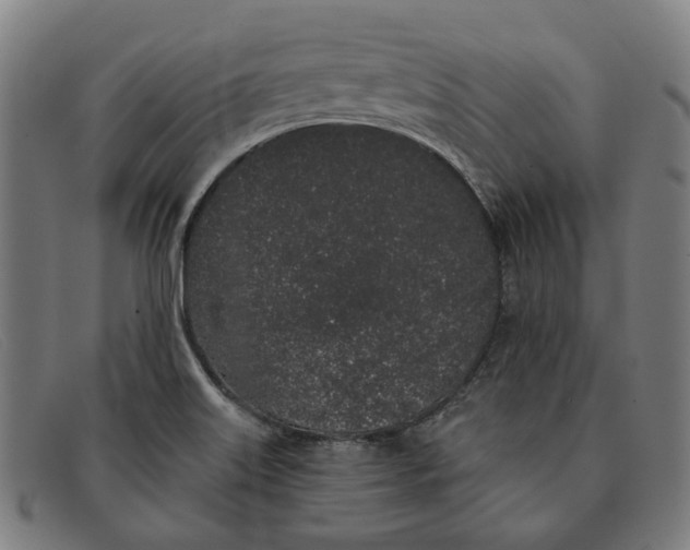 X0000091331515200708311427