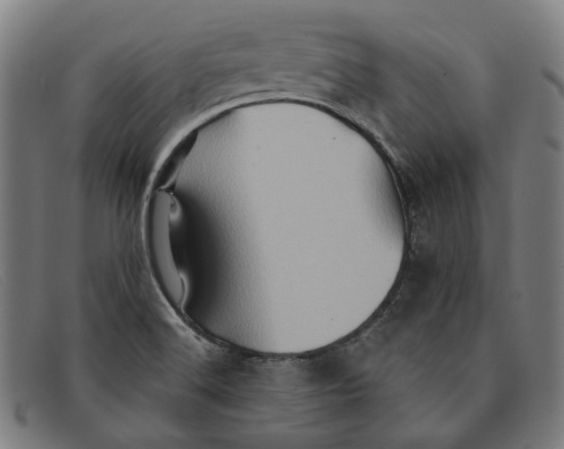 X0000091331516200708311427