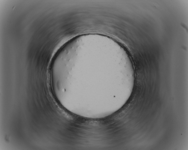 X0000091331517200708311427