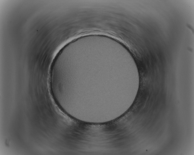 X0000091331518200708311427