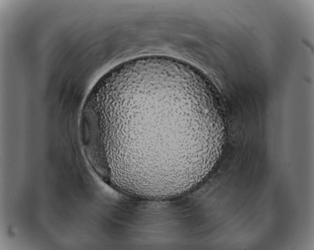 X0000091331519200708311427