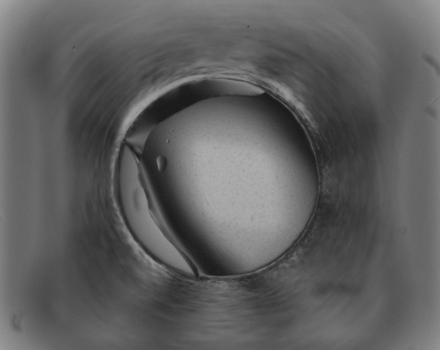 X0000091331520200708311427