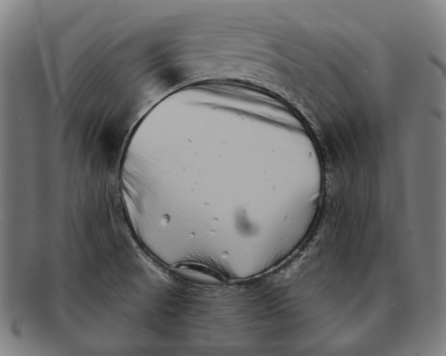 X0000091331521200708311427