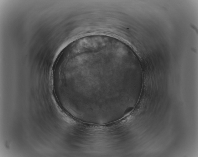 X0000091331522200708311427