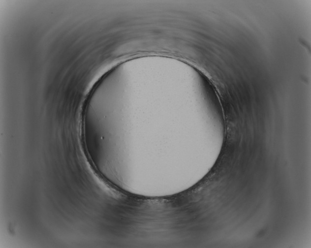 X0000091331523200708311427