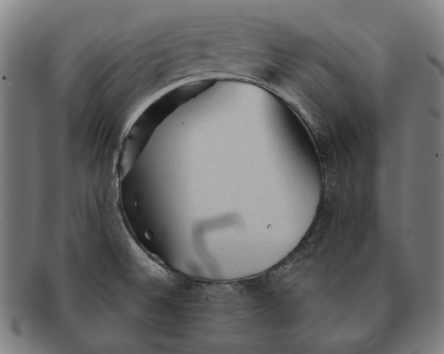 X0000091331524200708311427