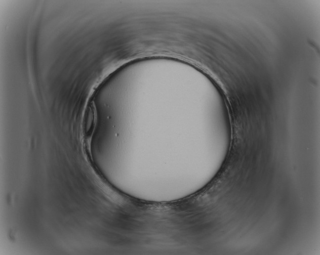 X0000091331525200708311427