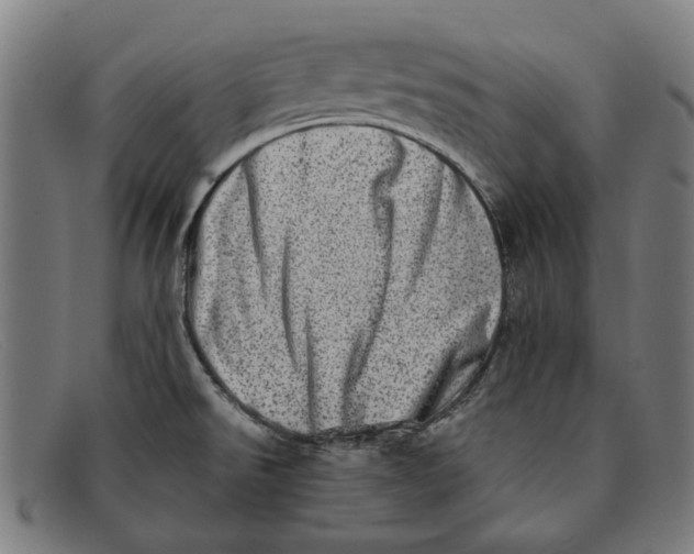 X0000091331526200708311427