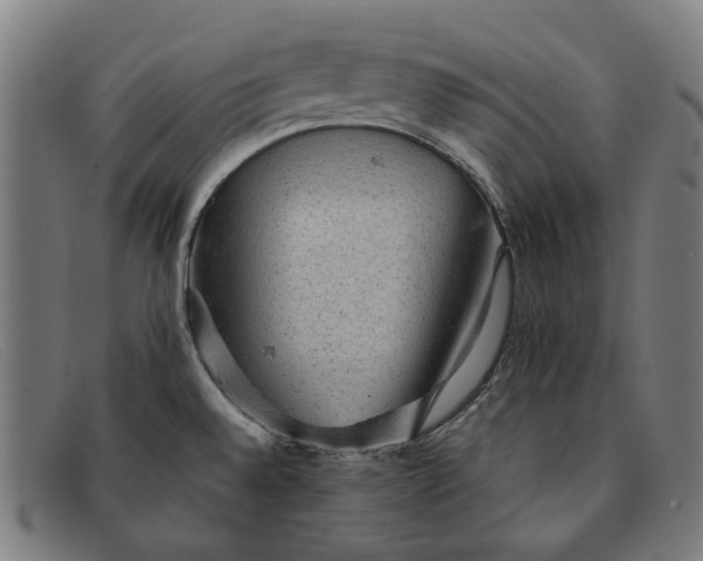 X0000091331528200708311427