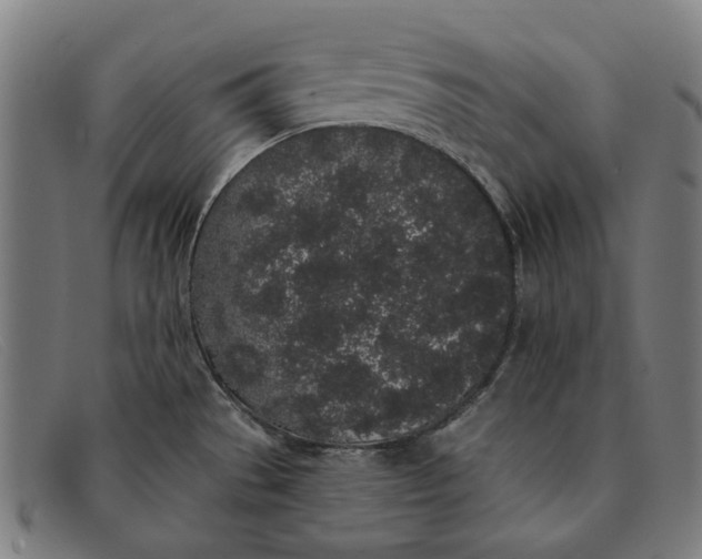 X0000091331529200708311427